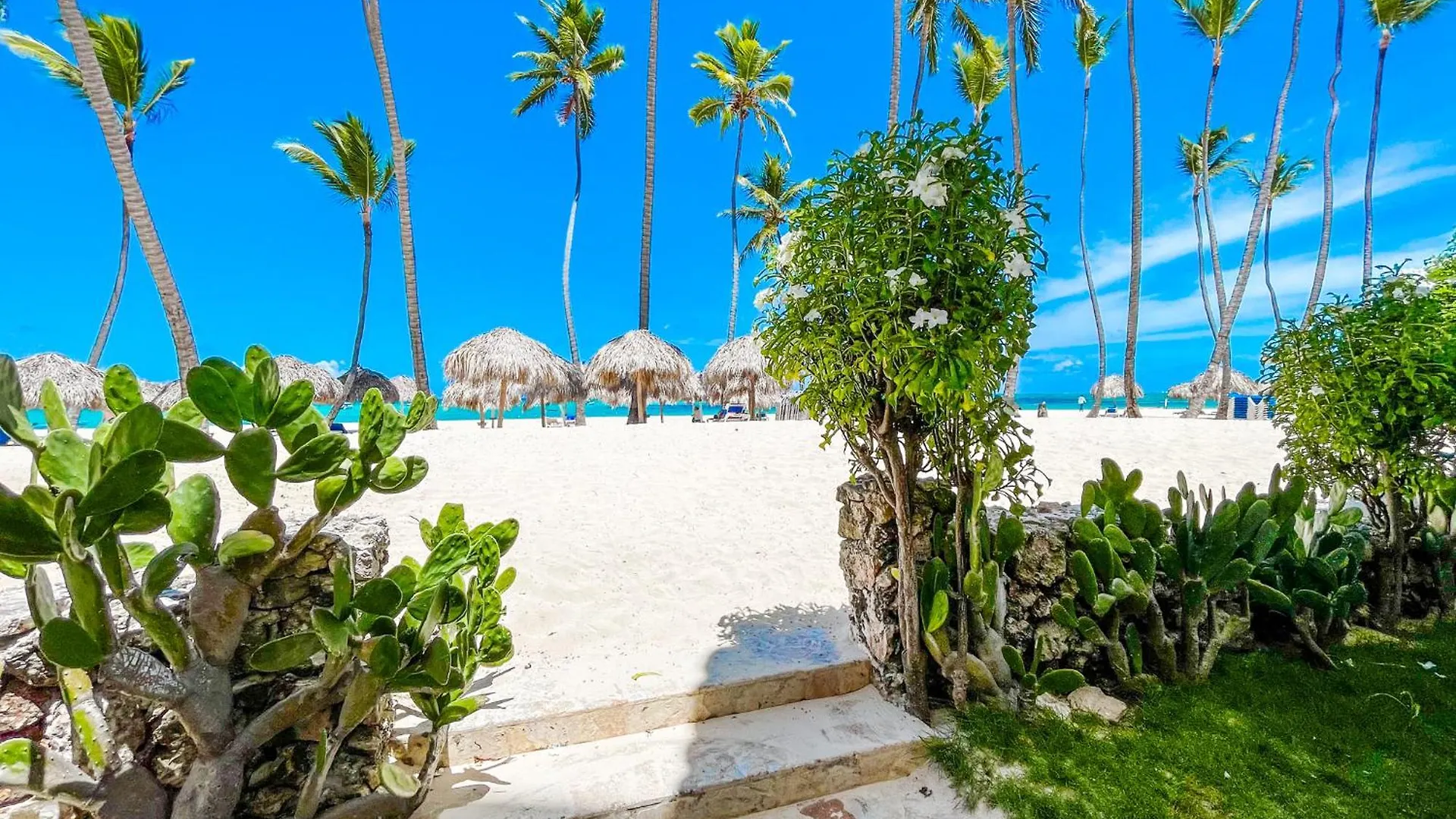 Oceanfront & Garden View Villas Hotel Wifi Bbq Parking Los Corales Beach Club & Spa Punta Cana Dominikanische Republik